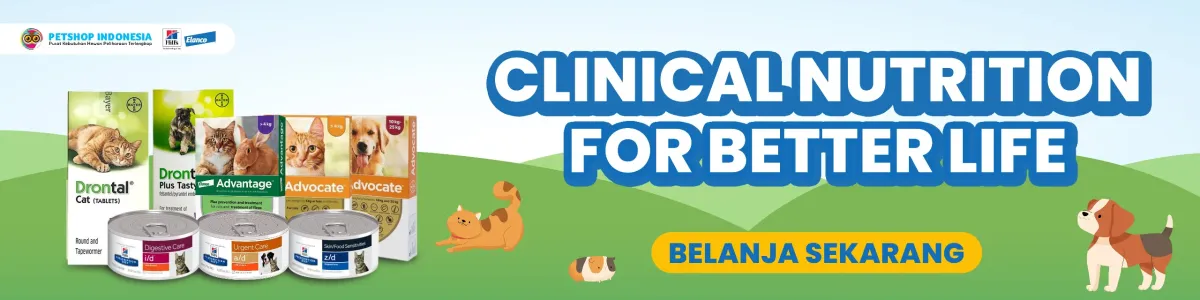 Bestie Petshop: Teman Setia Hewan Peliharaan di Jantung Cilacap